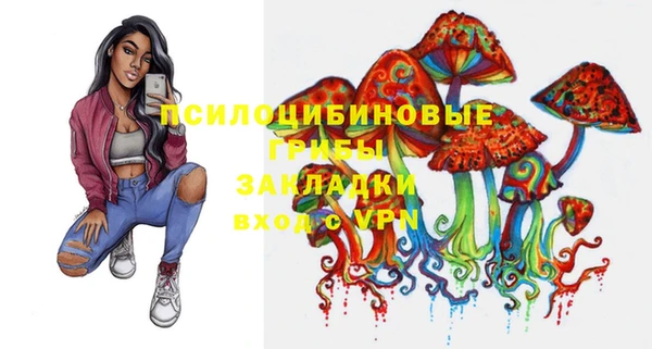 mdpv Бронницы