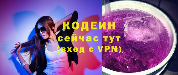 бошки Бородино