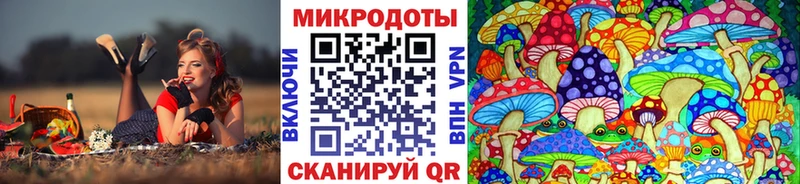 Купить закладки  Ликино-Дулёво  Галлюциногенные грибы Psilocybe 